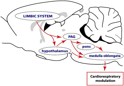 Pasted image 20250517152433.png