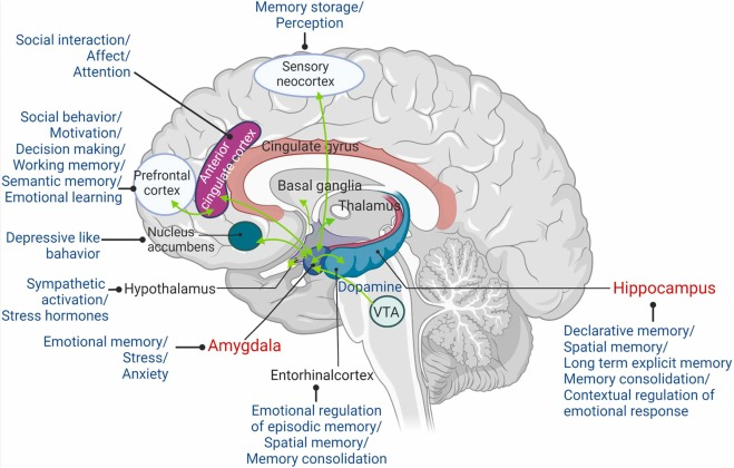 Pasted image 20250517152619.png