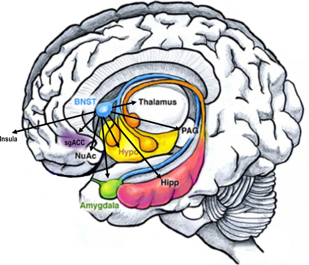 Pasted image 20250517153727.png