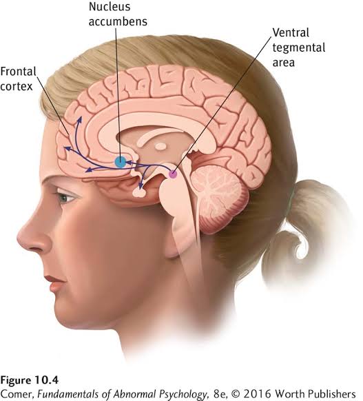 Pasted image 20250518090944.jpg